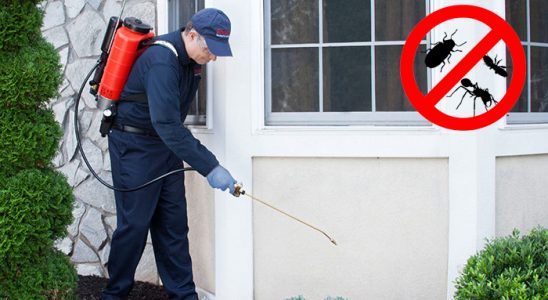 Yomra Hamam Böceği İlaçlama böcek ilaçlama ve haşere kontrolü — ilaclama-tr.com